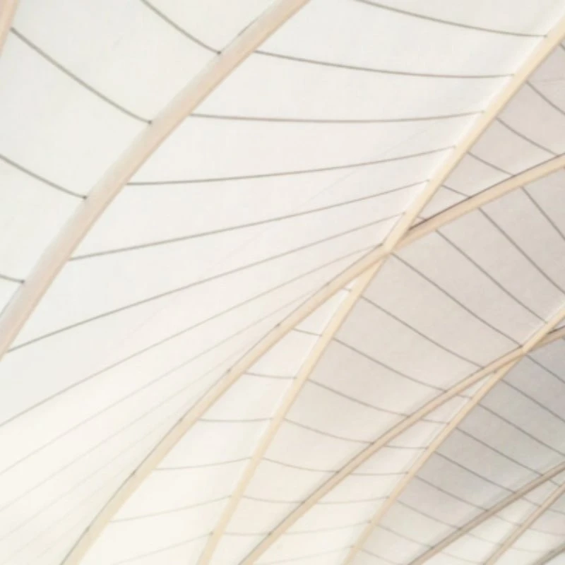 PTFE Coated Fiberglass Membrane